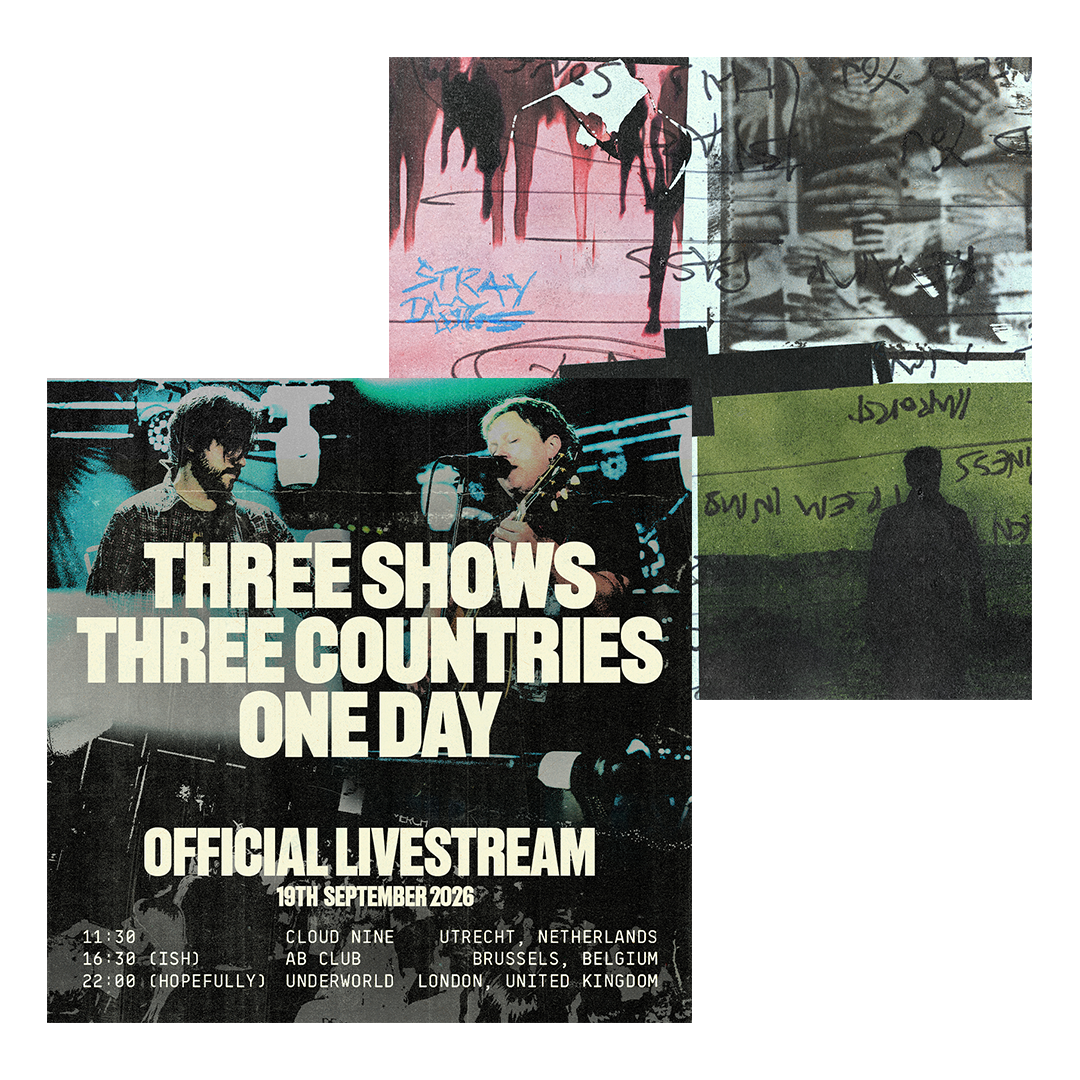 Stray Dogs | Deluxe Digital Download + Livestream Ticket