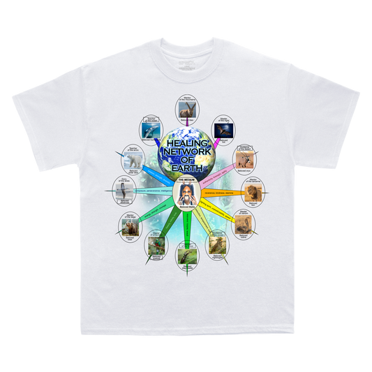 Healing Network T-Shirt and Signed Poster Bundle