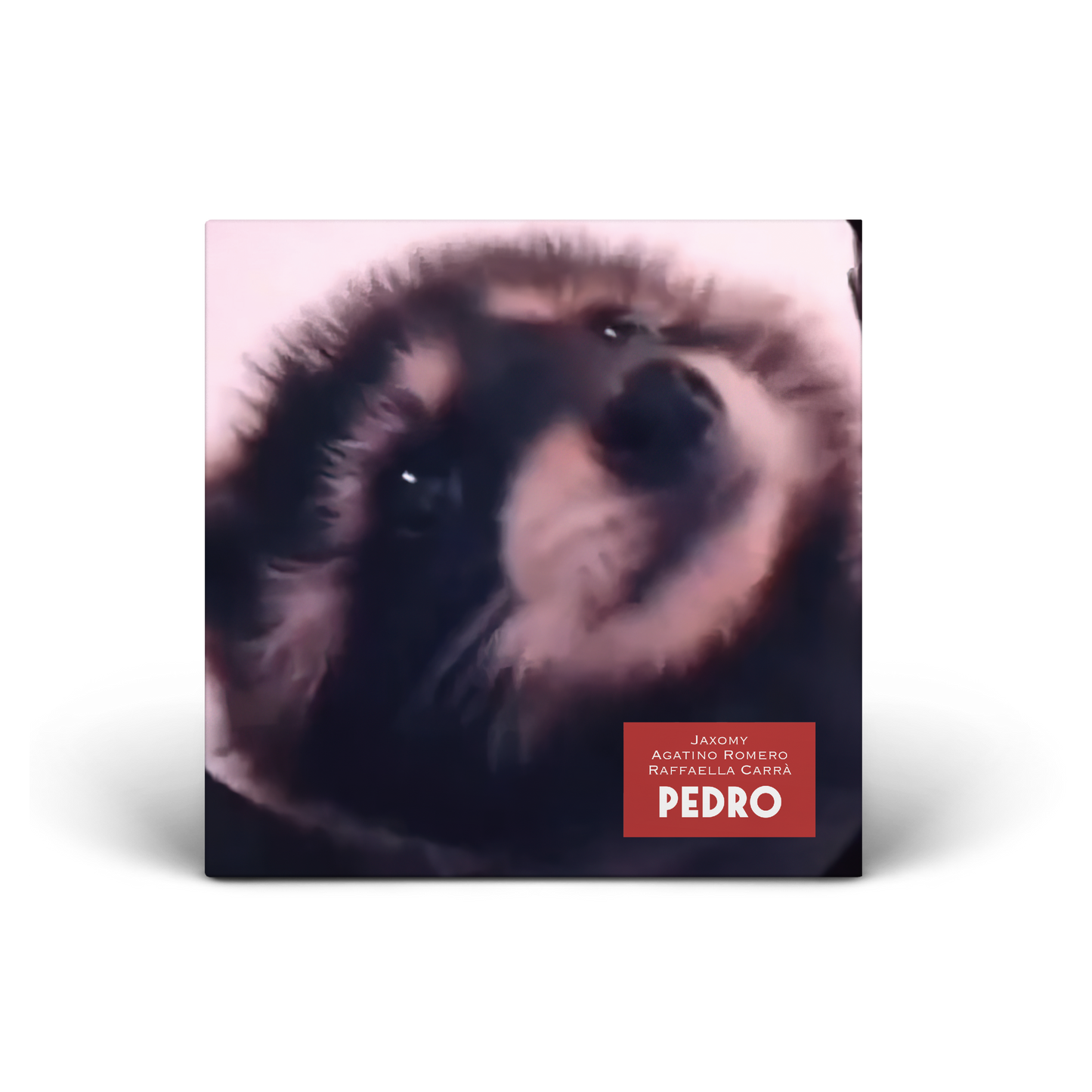 Jaxomy x Agatino Romero x Raffaella Carrà | Pedro - 7" Single
